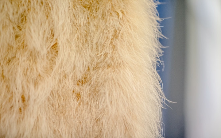 KLEIDER & SCHRANK - Einmaliges aus zweiter Hand